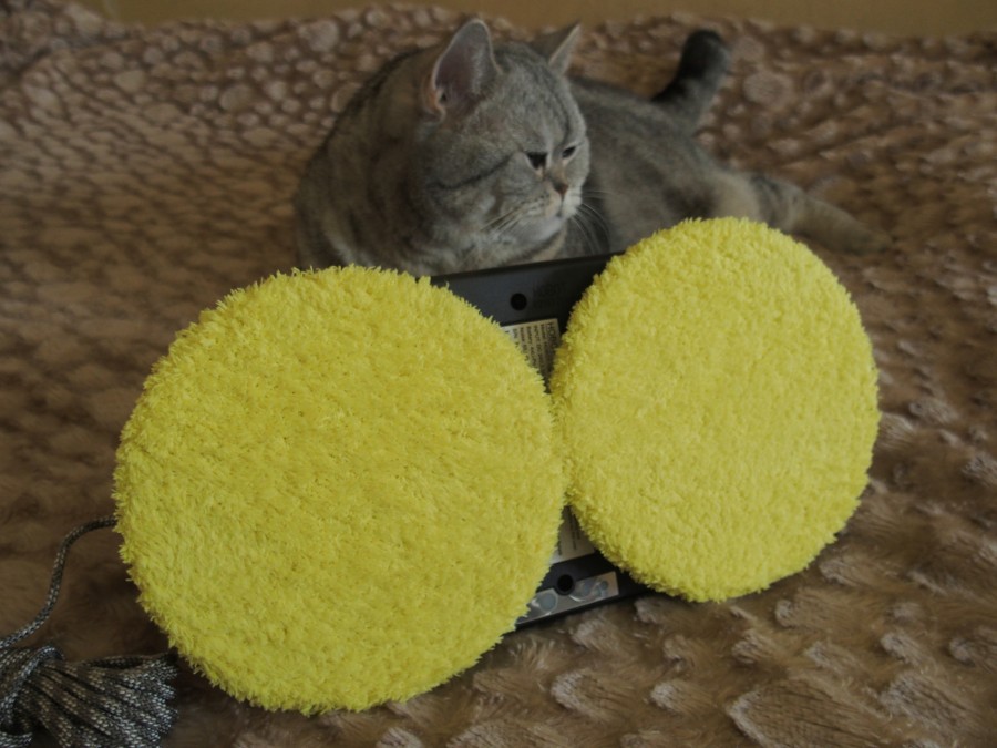 Мастер Кит Хоббит по имени Хобот  - о роботе мойщике окон кот и робот хобот