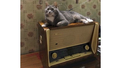 Мастер Кит Реставрация винтажной радиолы Латвия